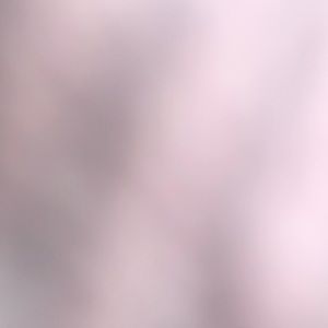 Meet your Posher, Jasmeen